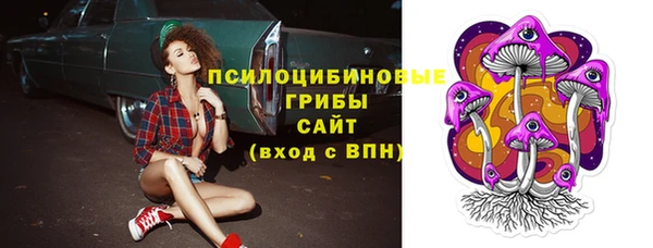 мяу мяу мука Алексеевка