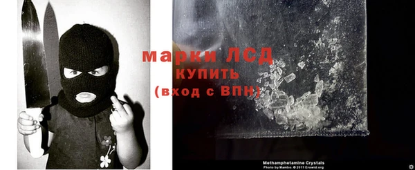 ECSTASY Алзамай