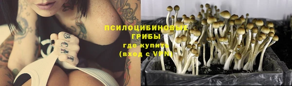 ECSTASY Алзамай