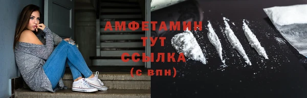 ECSTASY Алзамай