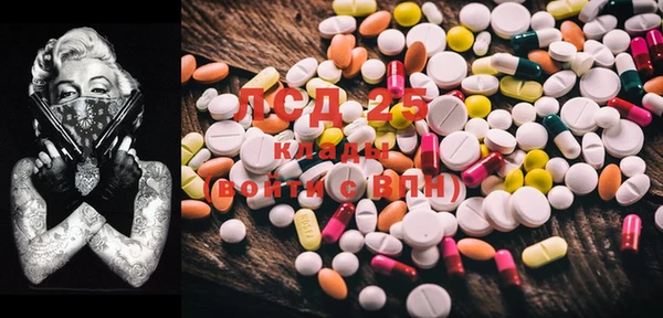 ECSTASY Алзамай
