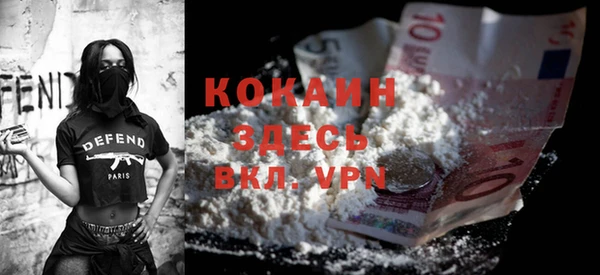 ECSTASY Алзамай