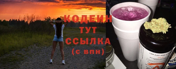 ECSTASY Алзамай