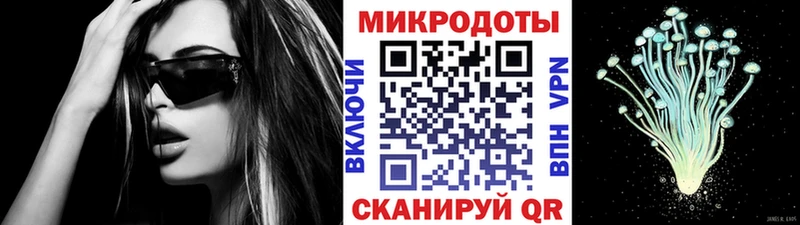 купить наркоту  Калининск  Псилоцибиновые грибы Psilocybe 